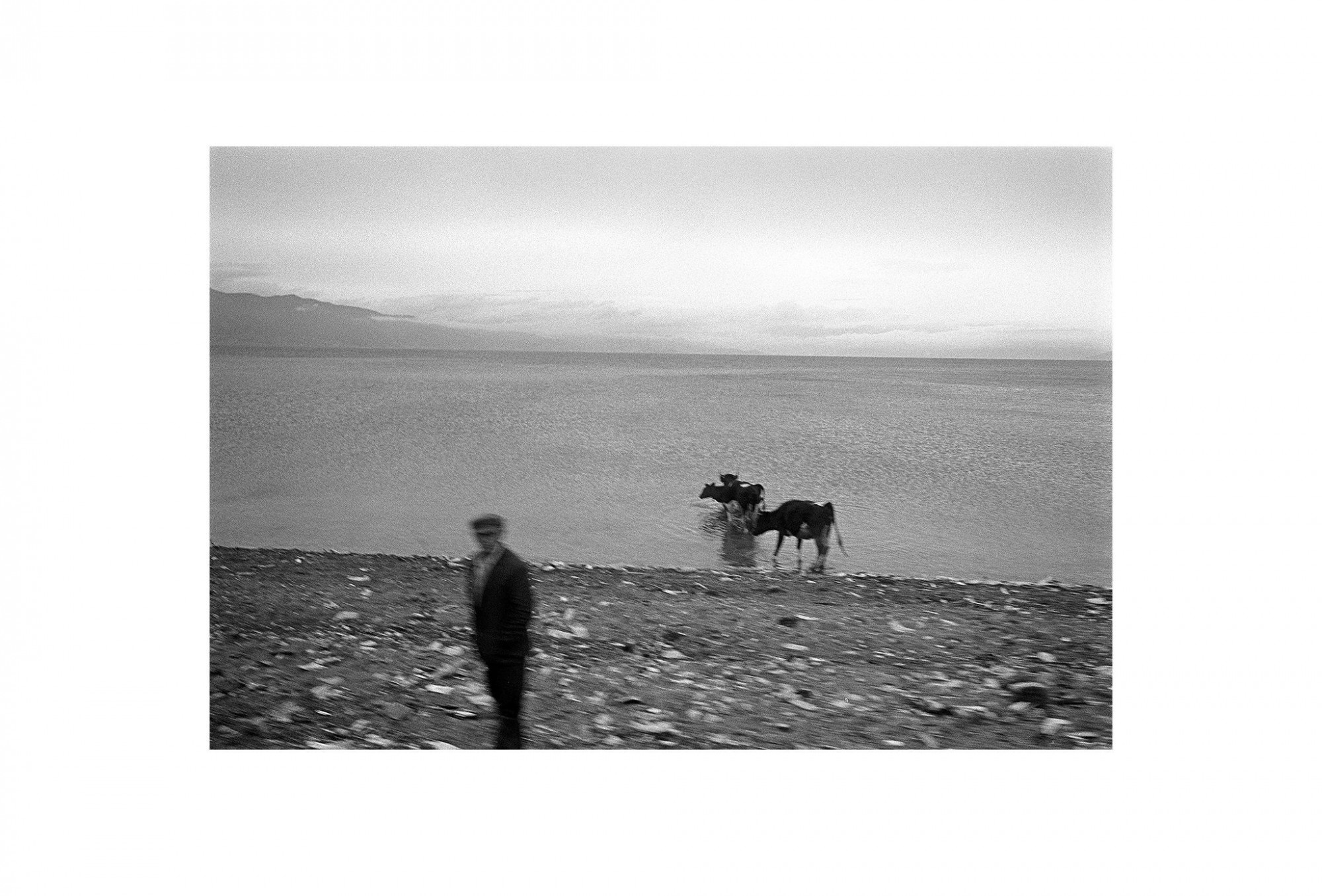 Afbeelding: Fotokunst Dominique Van Huffel, uit de reeks: Waar de sterre bleef stille staan. De koeman, Albanië.