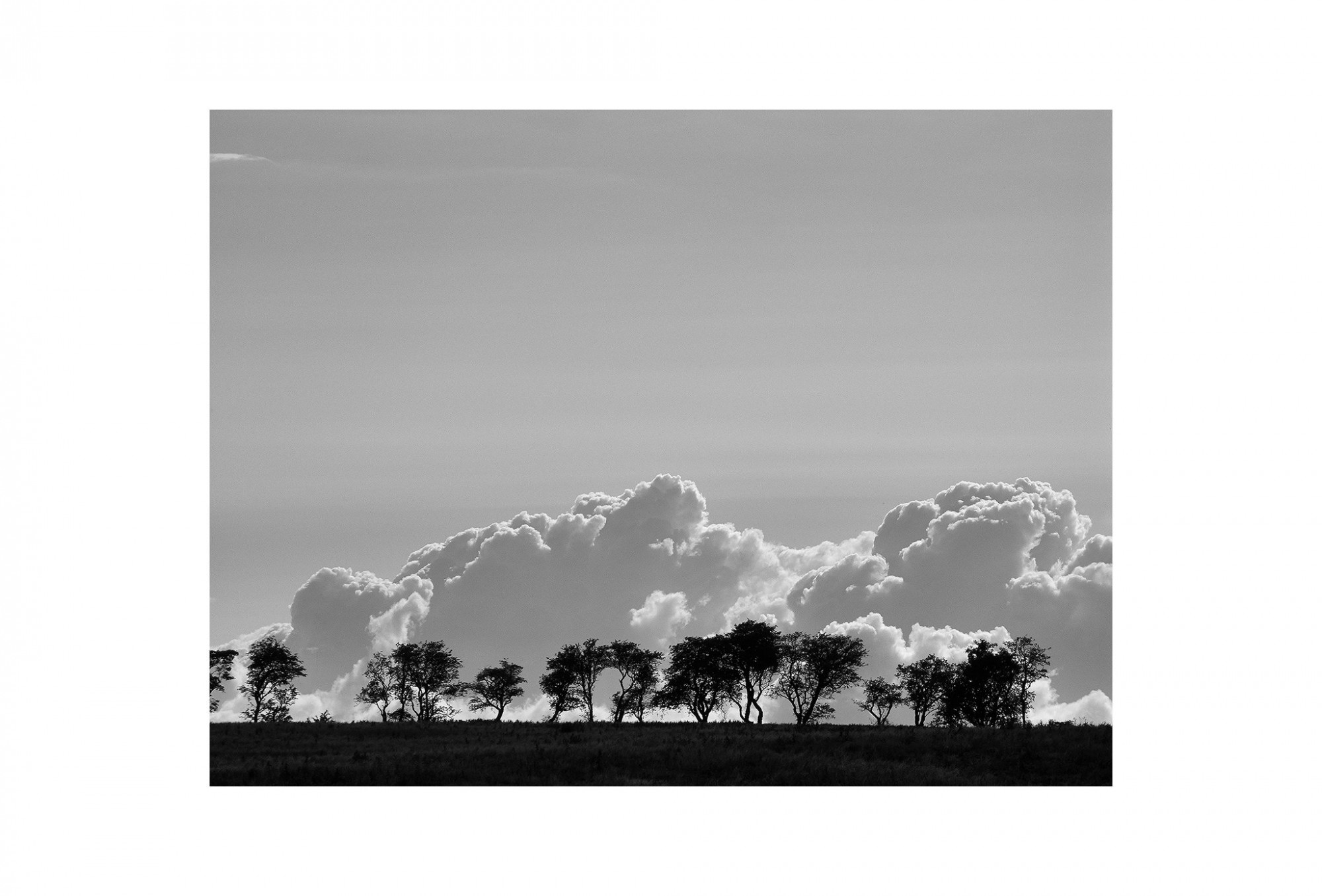 Afbeelding: Landscape England,© Dominique Van Huffel, foto kunst zwart wit, landschapsfotografie.