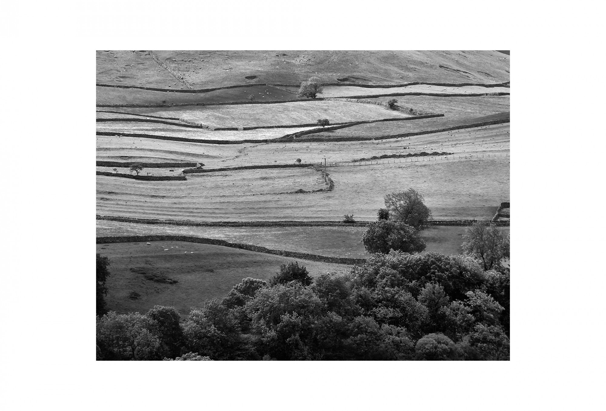 Afbeelding: Landscape England,Yorkshire Dales, © Dominique Van Huffel.