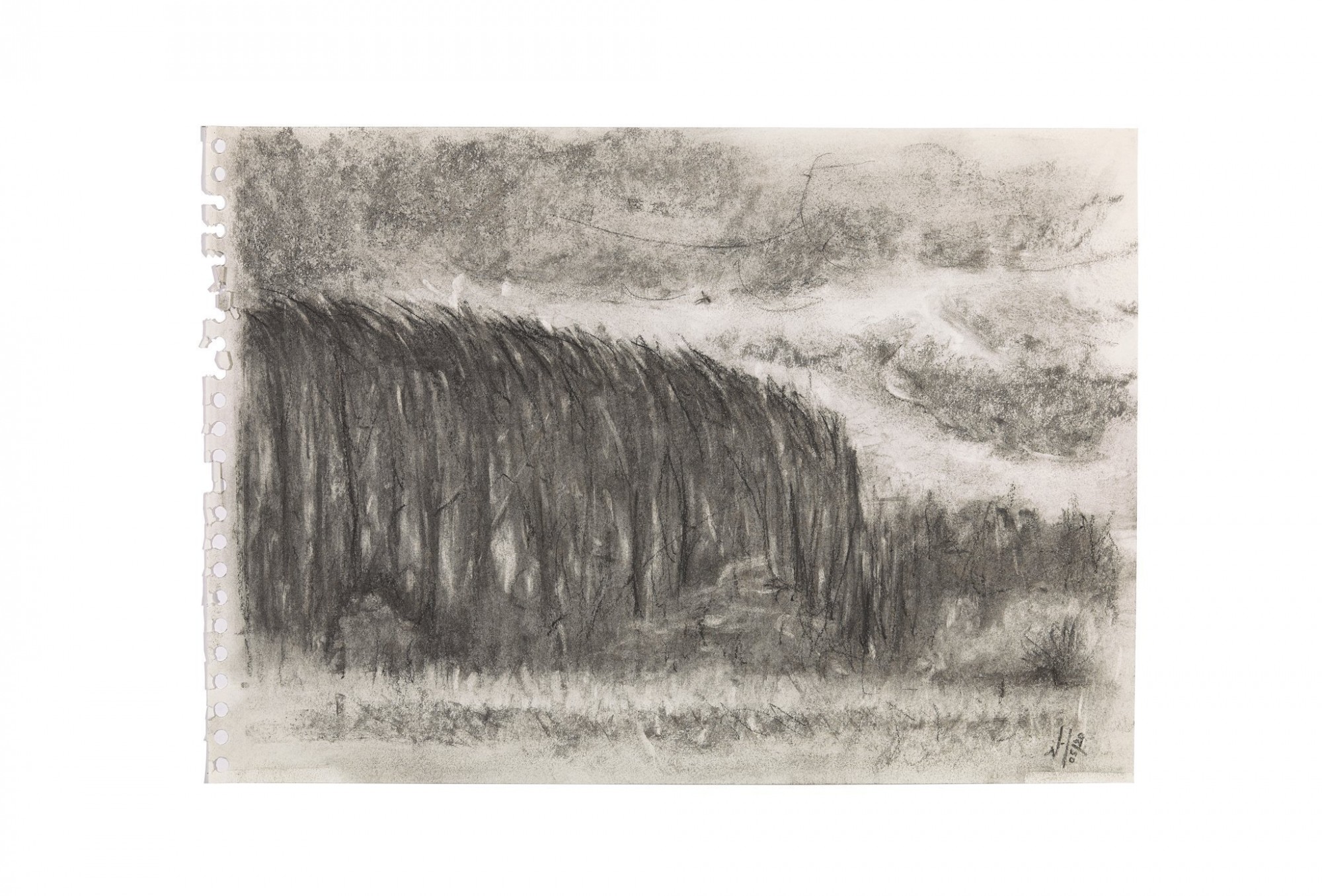 Houtskool tekening H24_05_2020 - wind in de populieren - Ginoven - Vallei van het Merkske Afbeelding: Houtskool tekening H24_05_2020 - wind in de populieren - Ginoven - Vallei van het Merkske