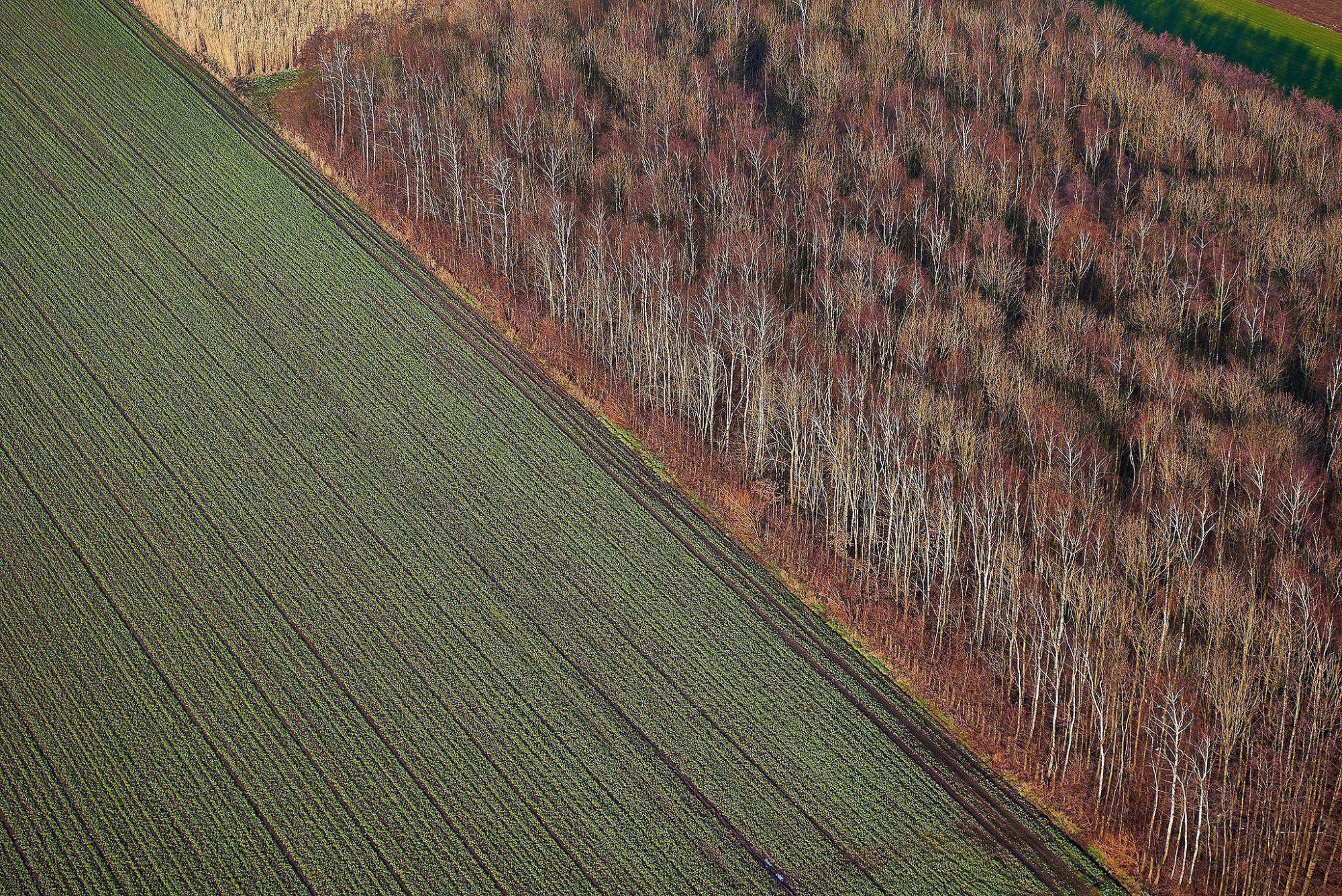 Fotograaf architectuurfotograaf interieurfotograaf packshot foto