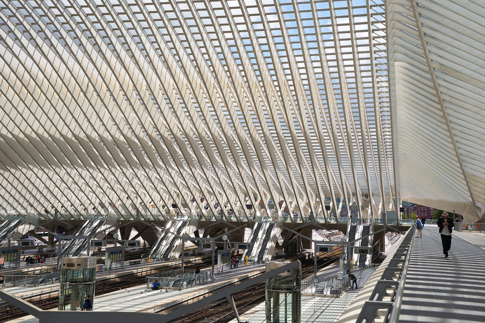 Afbeelding: Architectuur fotografie Foto Van Huffel, treinstation Luik-Guillemins, © Santiago Calatrava