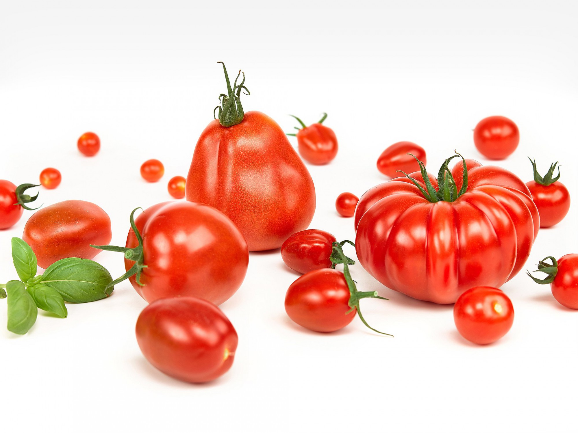 Afbeelding: Food fotografie assortiment tomaten voor Stoffels Tomaten, studio fotografie.